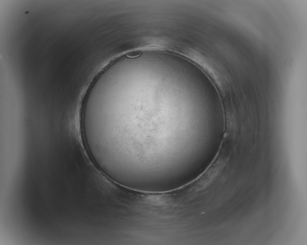 X0000101961480200807251144