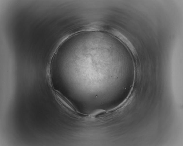 X0000101961481200807251144