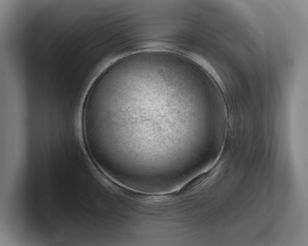 X0000101961482200807251144