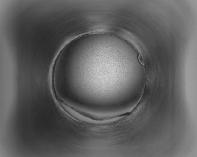 X0000101961483200807251144