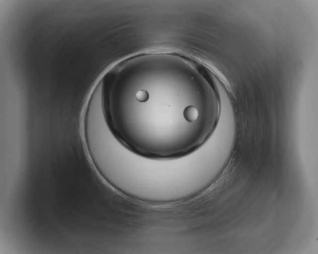 X0000101961484200807251144