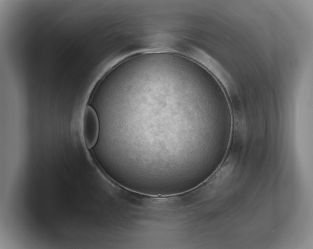 X0000101961485200807251144