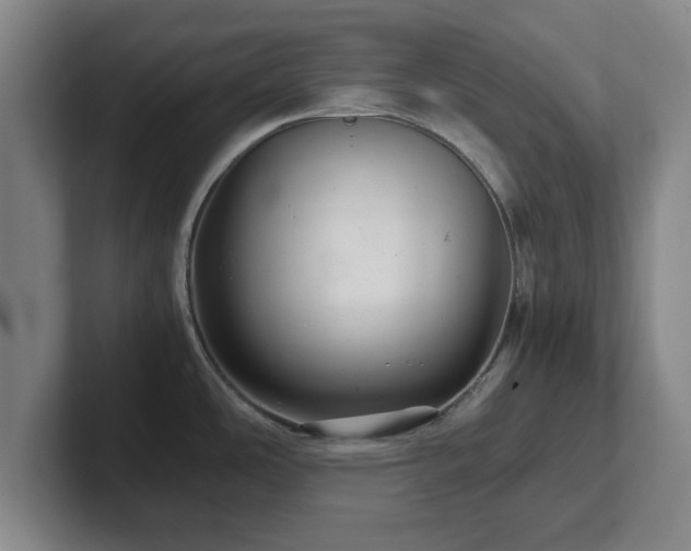 X0000101961486200807251144