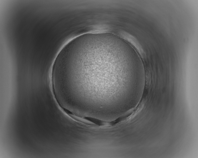 X0000101961487200807251144