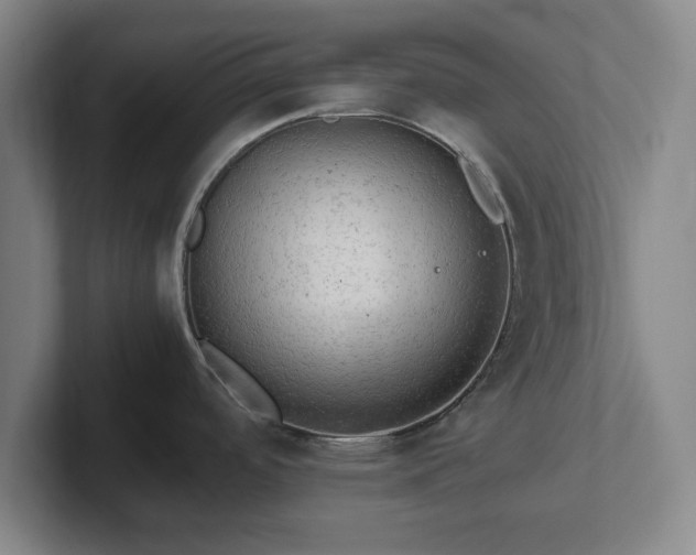 X0000101961488200807251144