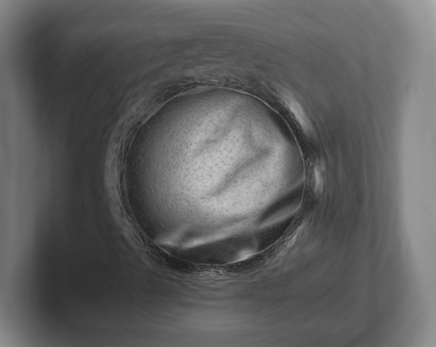 X0000101961489200807251144