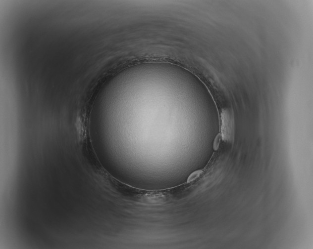 X0000101961491200807251144