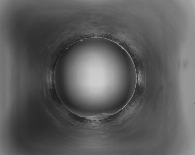 X0000101961492200807251144