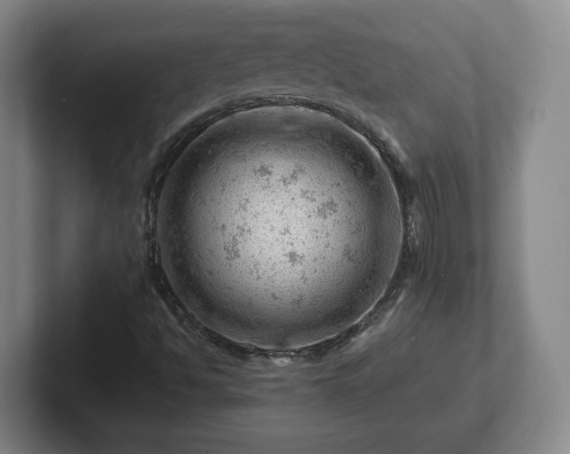 X0000101961494200807251144