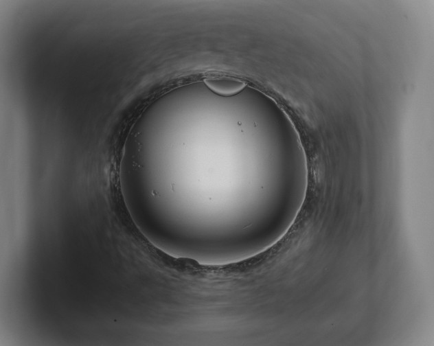 X0000101961495200807251144