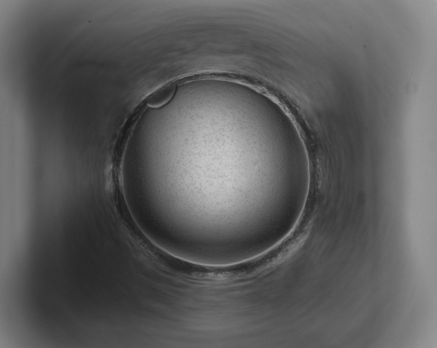 X0000101961497200807251144