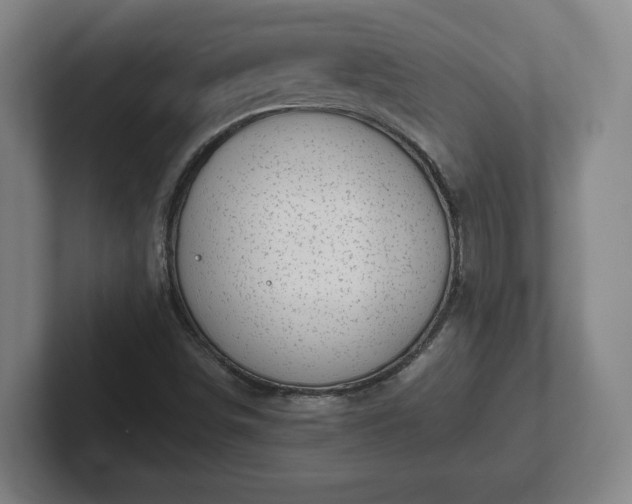 X0000101961498200807251144