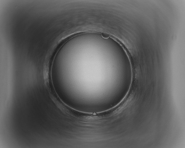 X0000101961499200807251144