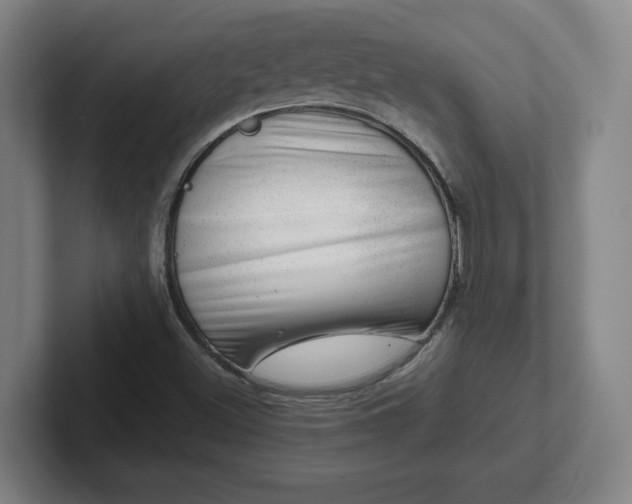 X0000101961500200807251144