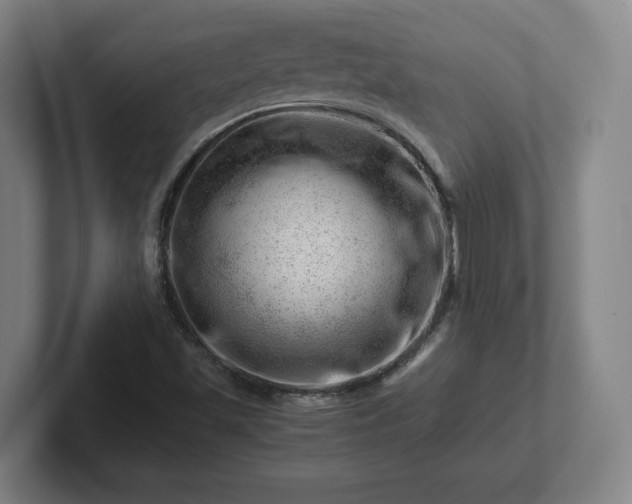 X0000101961501200807251144