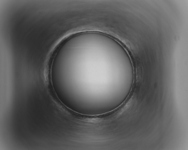 X0000101961502200807251144