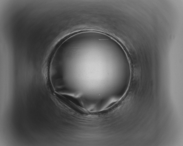 X0000101961503200807251144