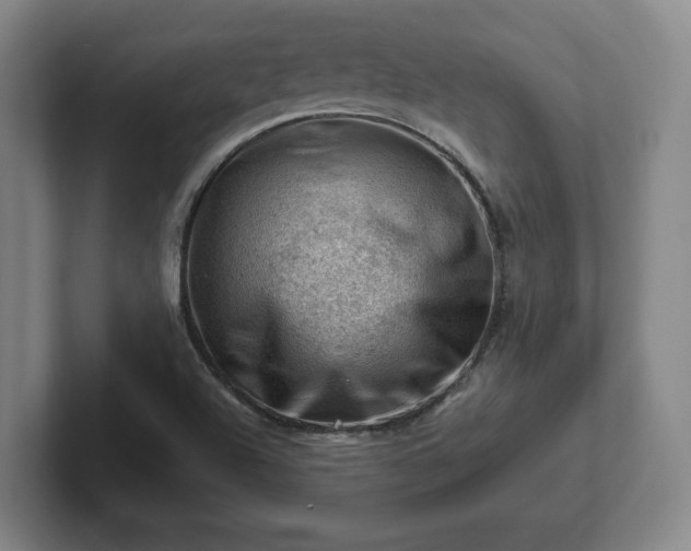 X0000101961504200807251144