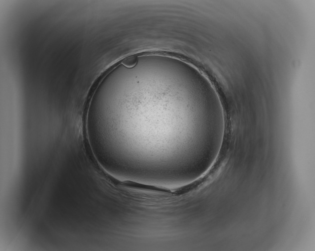 X0000101961505200807251144