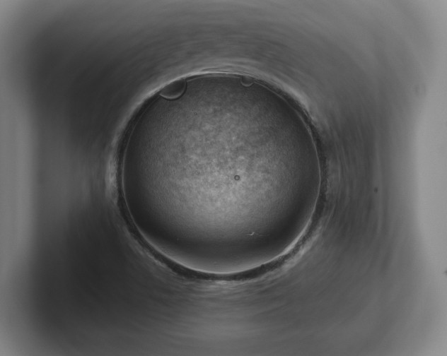 X0000101961506200807251144