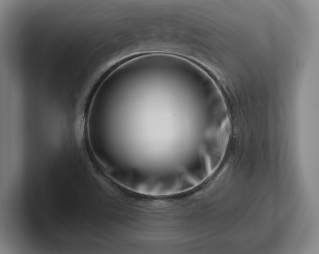 X0000101961507200807251144