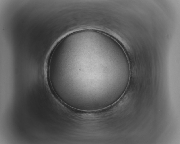 X0000101961508200807251144