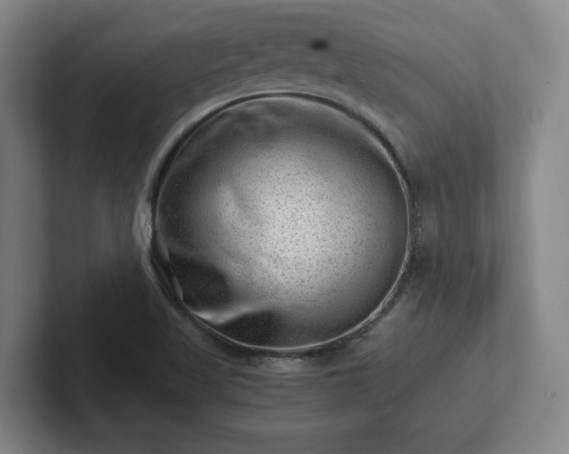 X0000101961509200807251144