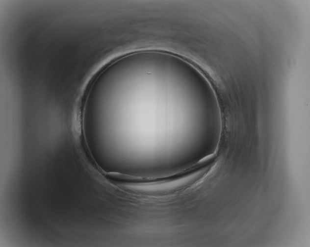 X0000101961510200807251144