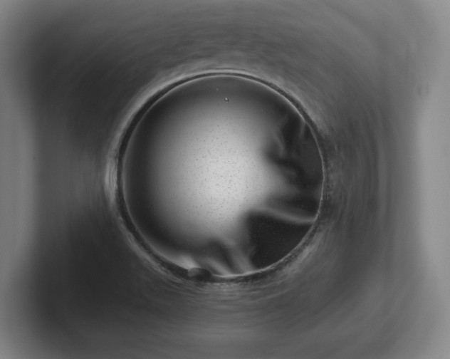 X0000101961511200807251144