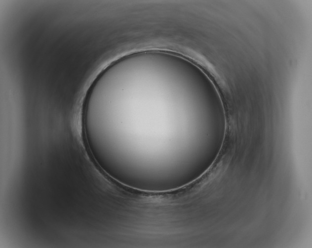 X0000101961512200807251144