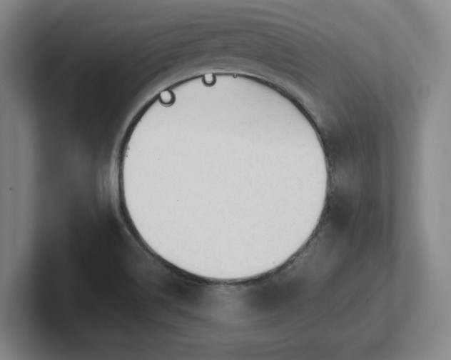 X0000101961514200807251144