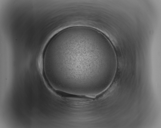 X0000101961515200807251144