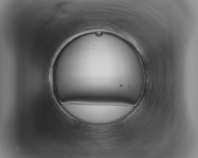 X0000101961516200807251144