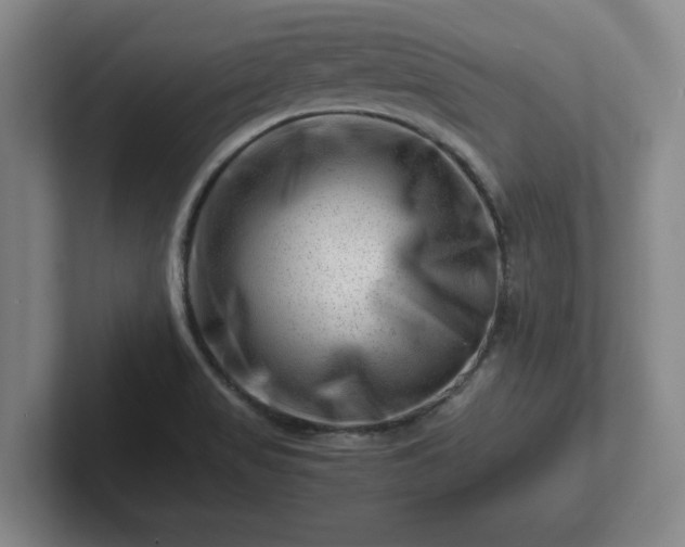 X0000101961517200807251144