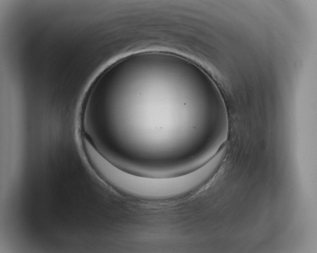 X0000101961518200807251144