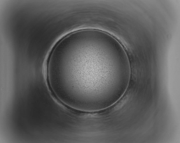 X0000101961519200807251144