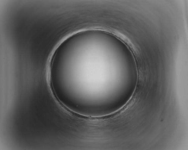 X0000101961520200807251144