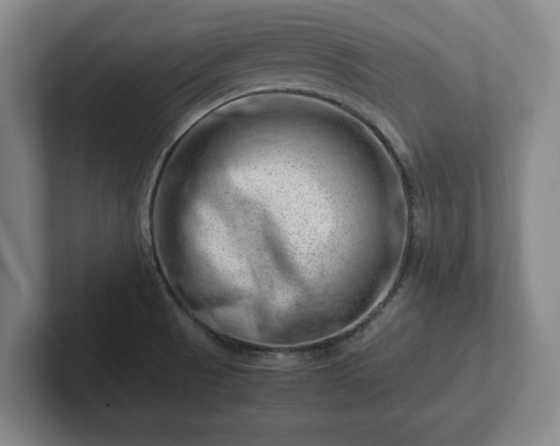 X0000101961521200807251144