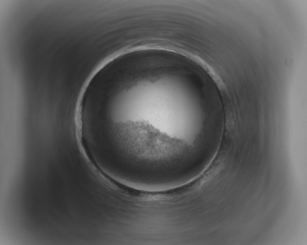 X0000101961522200807251144