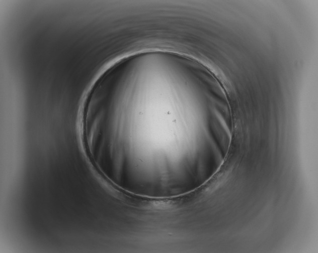 X0000101961523200807251144