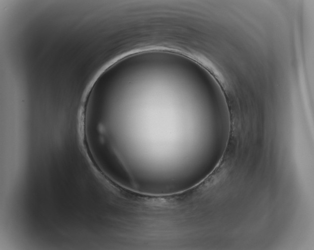 X0000101961524200807251144