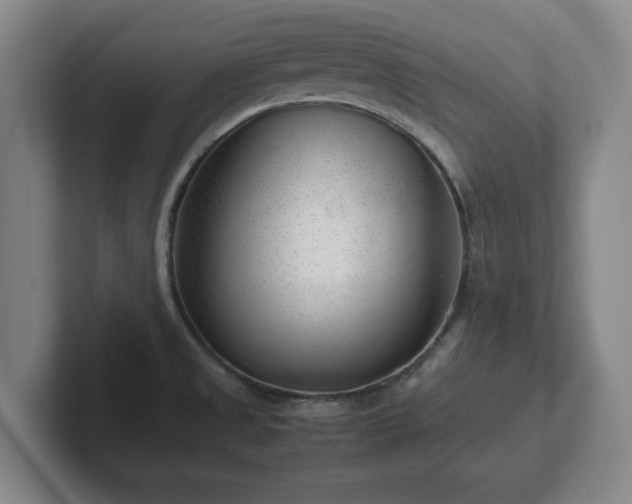 X0000101961525200807251144