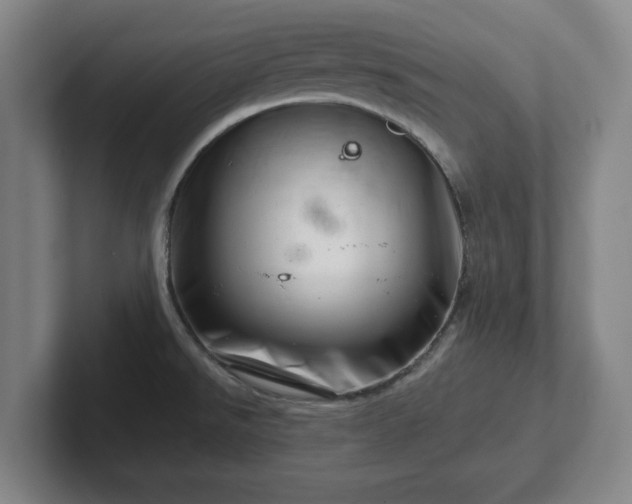 X0000101961526200807251144