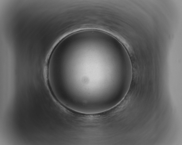 X0000101961527200807251144