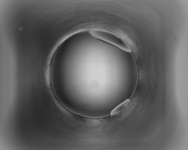 X0000101961528200807251144