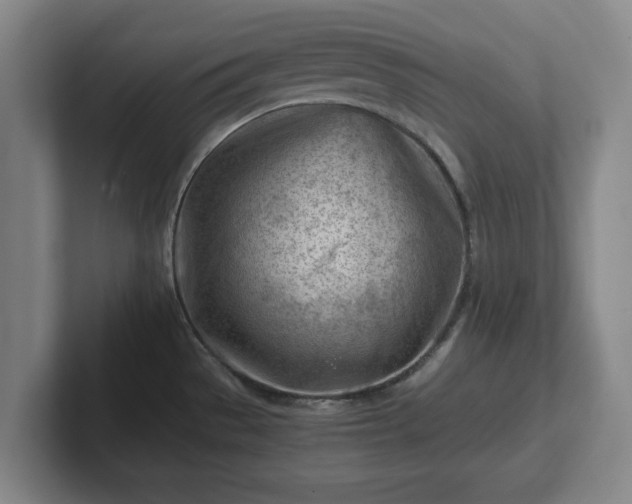 X0000101961529200807251144