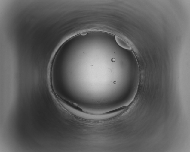 X0000101961530200807251144