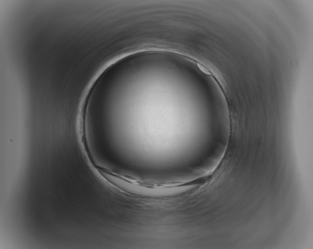 X0000101961531200807251144