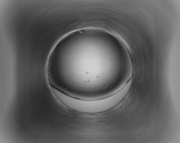 X0000101961532200807251144