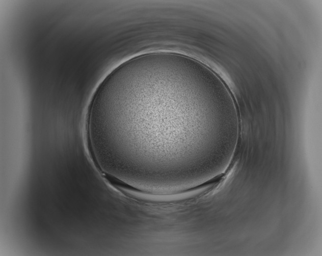 X0000101961533200807251144